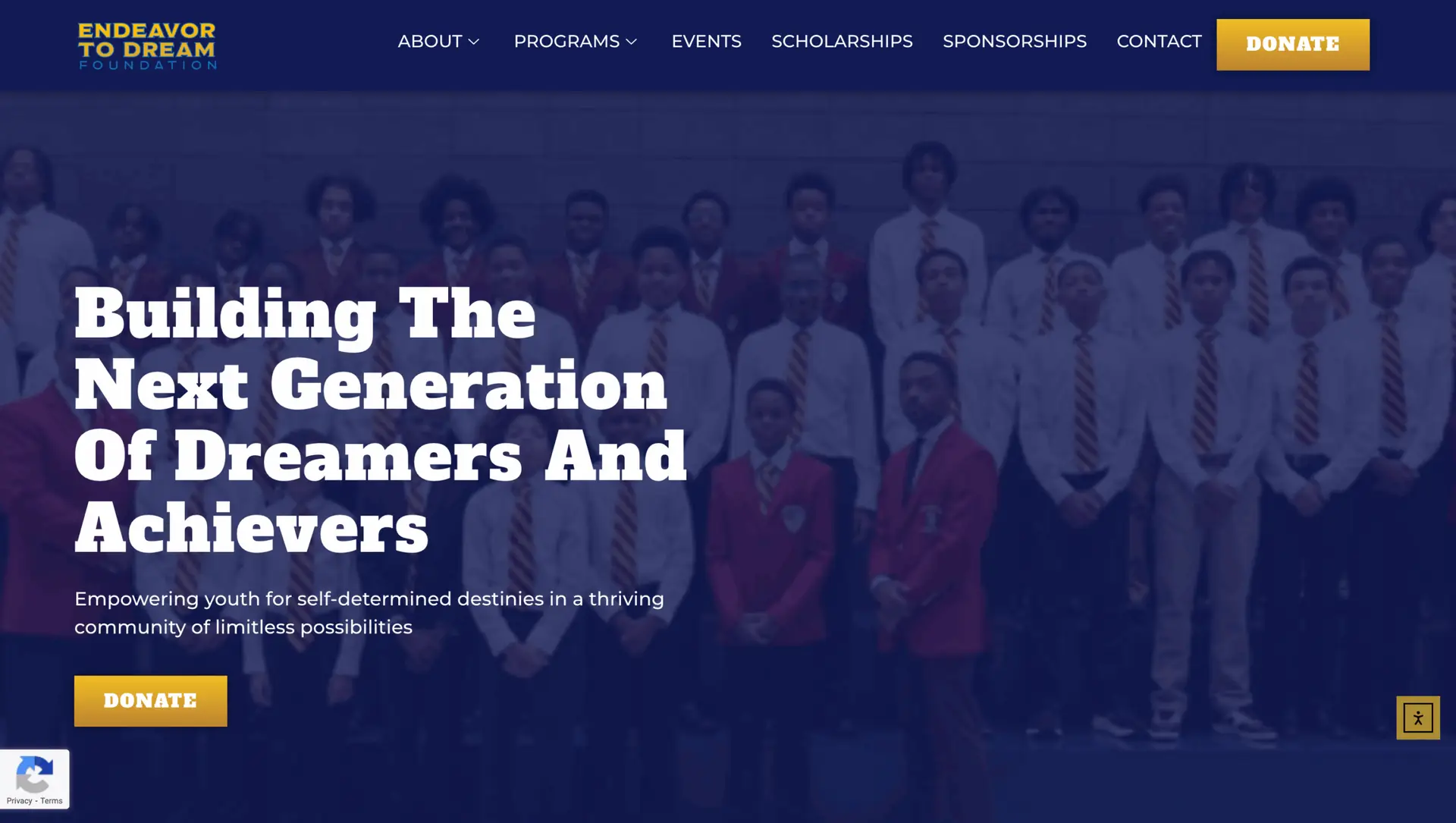 Endeavor to Dream Non-profit Template